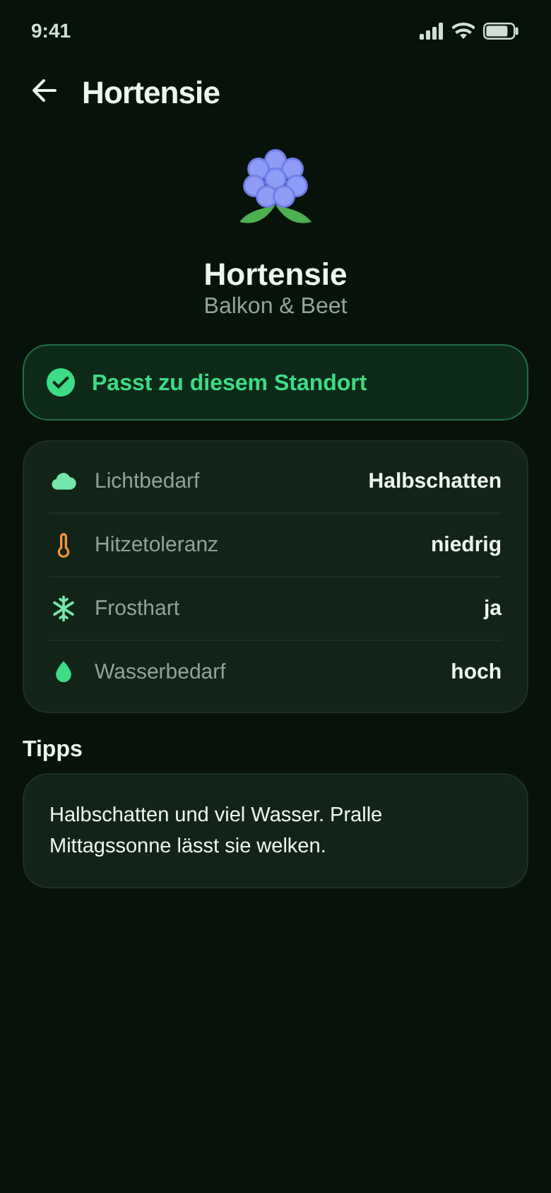 Steckbrief der Hortensie mit Lichtbedarf, Hitzetoleranz, Frosthärte, Wasserbedarf und Pflege-Tipp